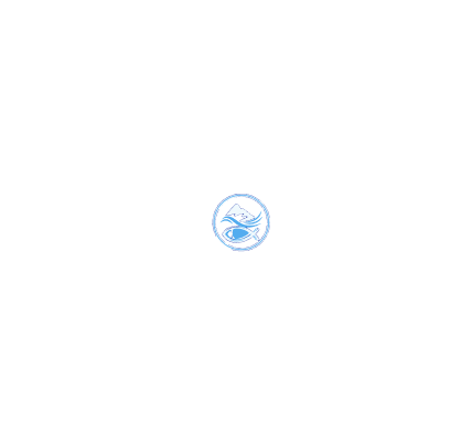 www.ictusfestival.com.br favicon